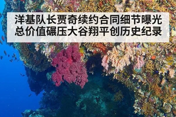 洋基队长贾奇续约合同细节曝光总价值碾压大谷翔平创历史纪录